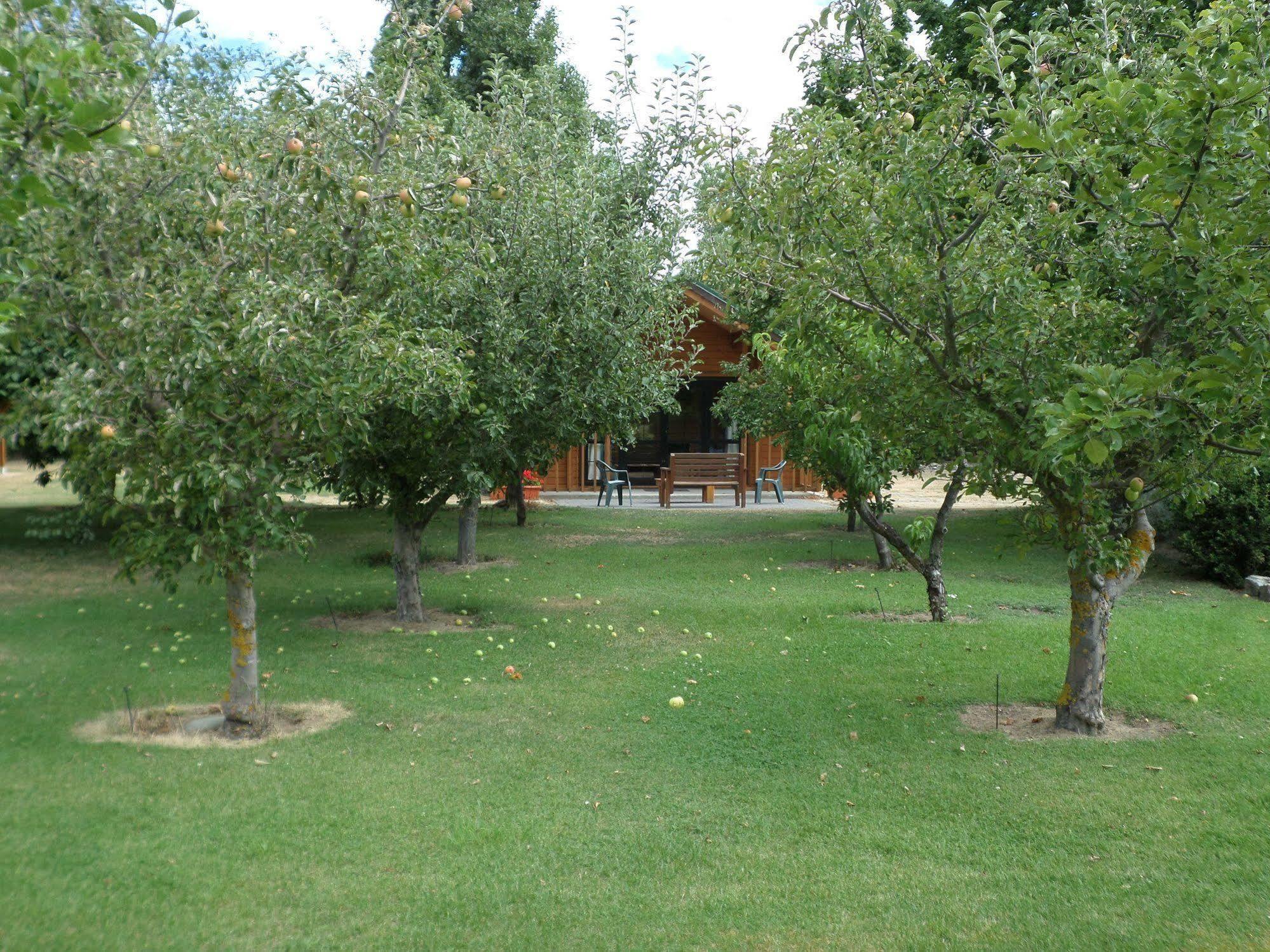 Central Chalets Ltd Александра Екстериор снимка